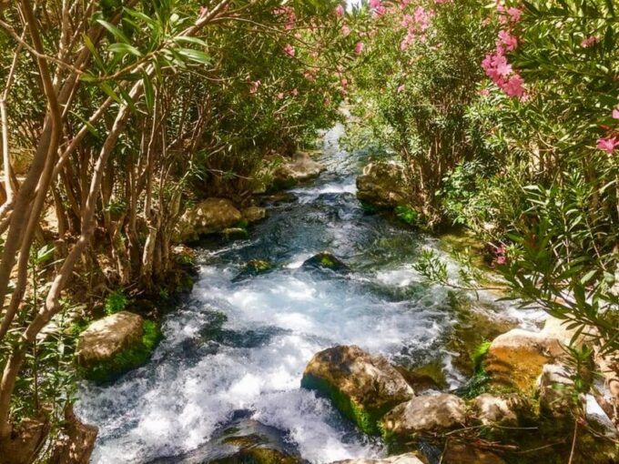 From Albir or Benidorm: Algar Waterfalls Day Trip - Accessibility Considerations