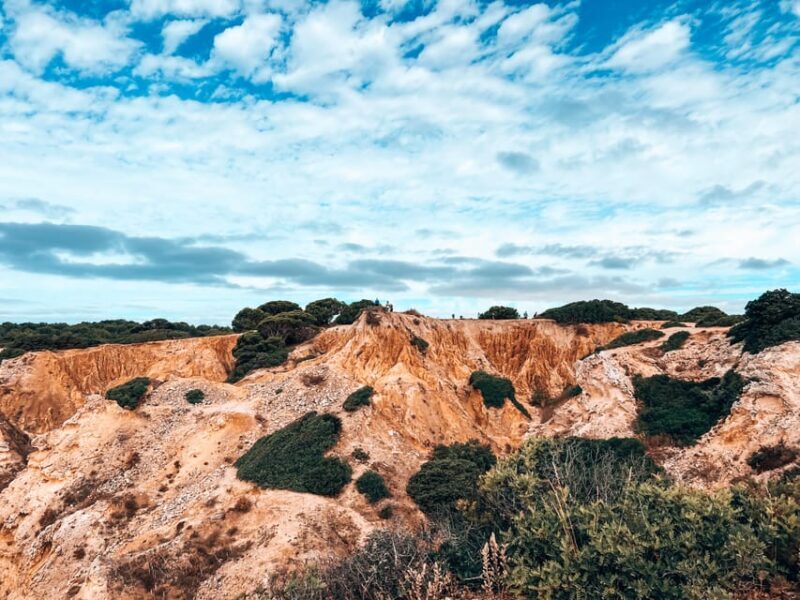 From Albufeira: 7 Hanging Valleys Guided Hike with pick up - The Experience in Context: Who Will Love It?