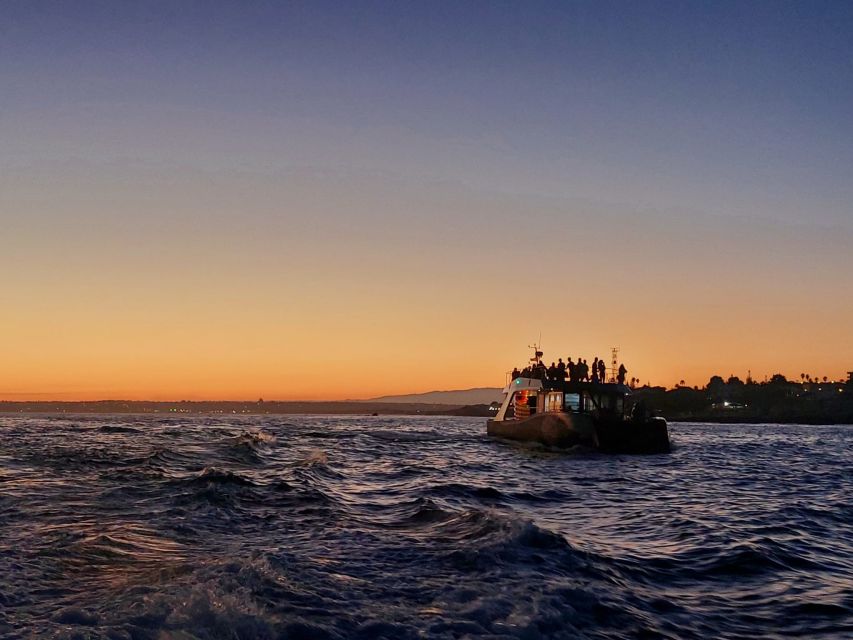 From Albufeira: Algarve Coastline Sunset Cruise - Key Points