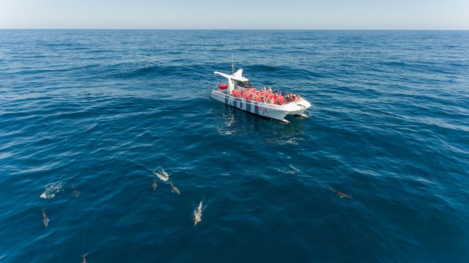 From Albufeira: Dolphins and Caves 2.5-Hour Boat Trip - Booking Information