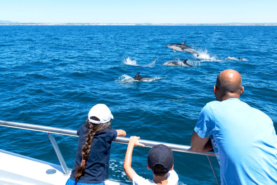 From Albufeira: Dolphins and Caves 2.5-Hour Boat Trip - Tour Schedule