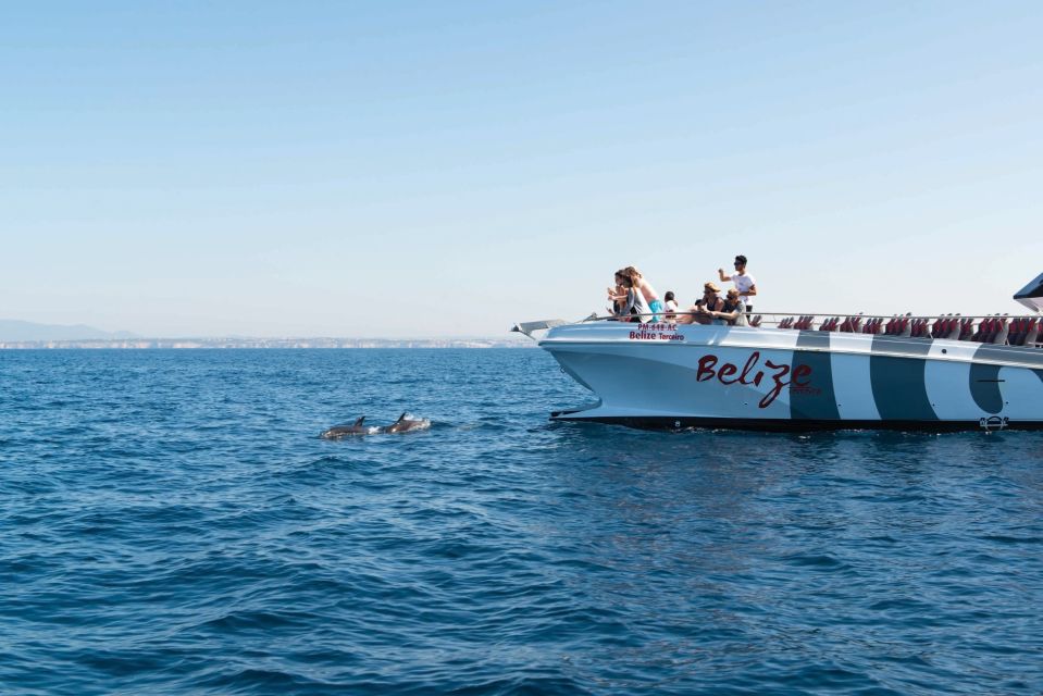 From Albufeira: Dolphins and Caves 2.5-Hour Boat Trip - Frequently Asked Questions