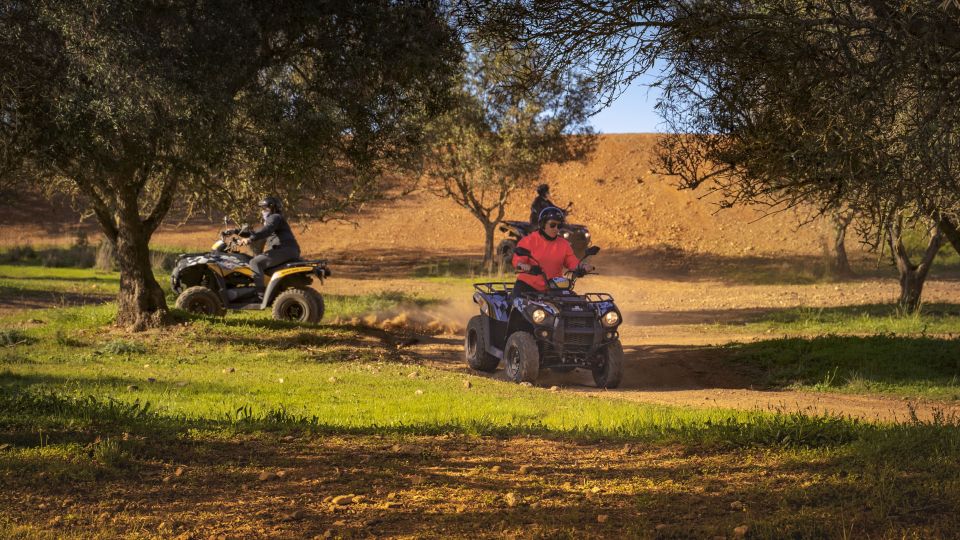 From Albufeira: Full-Day Off-Road Quad Tour - Thrilling Off-Road Driving