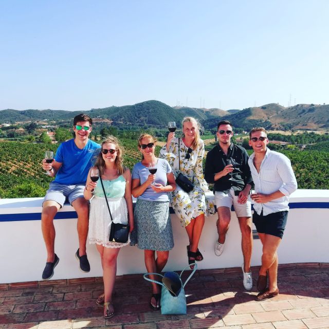From Albufeira: Full-Day Wine Tasting Tour With a Guide - Pickup and Itinerary