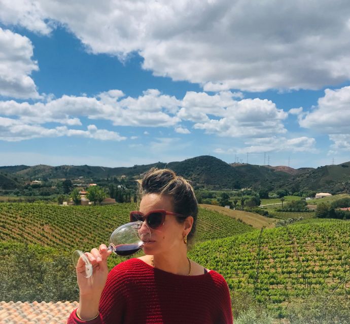 From Albufeira: Full-Day Wine Tasting Tour With a Guide - Exploring Silves