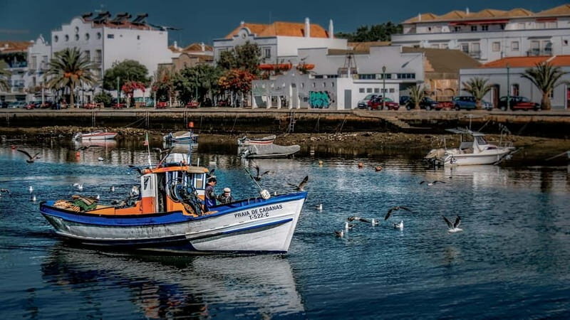 From Albufeira: Loule, Faro, and Tavira Guided Day Trip - An In-Depth Look at What You Can Expect