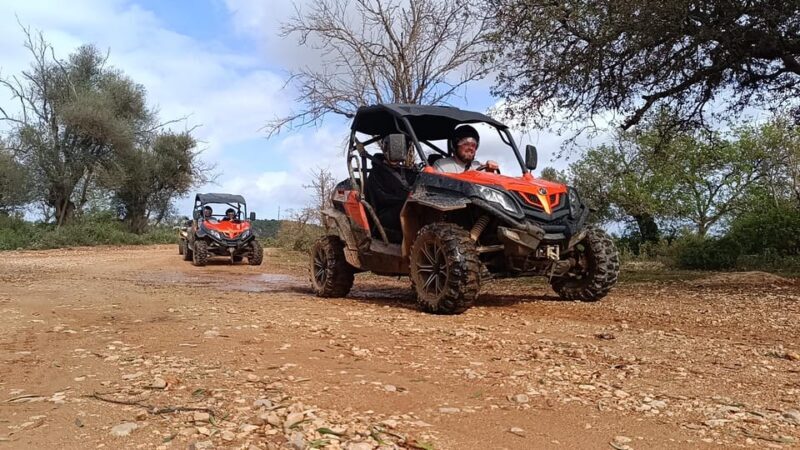 From Albufeira: Paderne Adventure Buggy Ride - Key Points