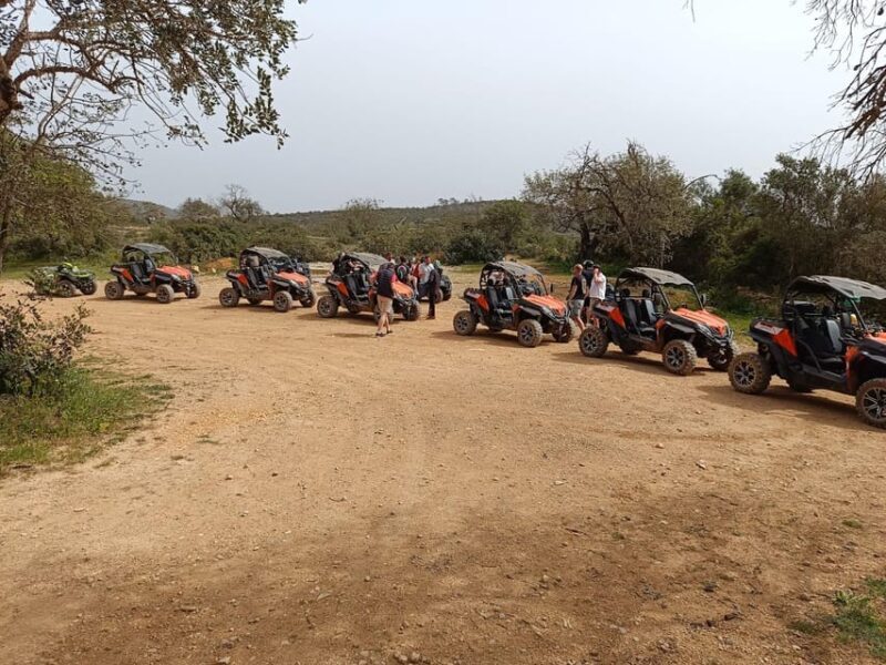 From Albufeira: Paderne Adventure Buggy Ride - A Close Look at the Tour Itself