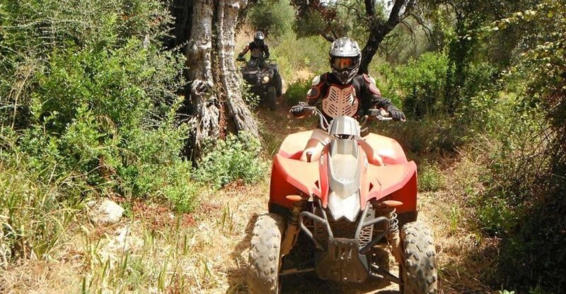 From Albufeira: Paderne Adventure Quad Ride - Key Points