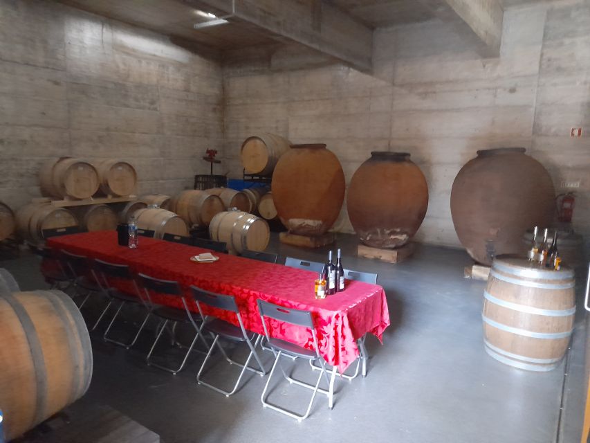 From Albufeira: Private Lagos Tour Whith Wine Tasting - Pricing and Booking Details