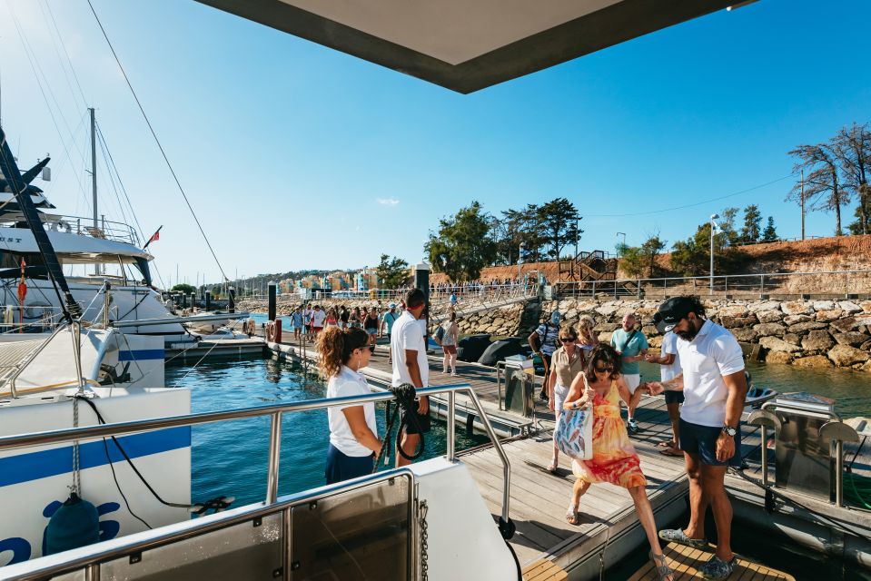 From Albufeira: Sunset Cruise and Beach BBQ With Open Bar - Coastal Scenery and Views