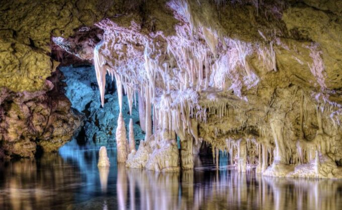 From Alcúdia: Dinosaurland and Hams Caves Half-Day Trip - Included Services