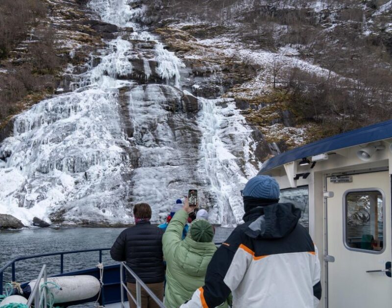 From Ålesund: Winter Fjord Cruise to Geirangerfjord - Who Is This Tour Best For?