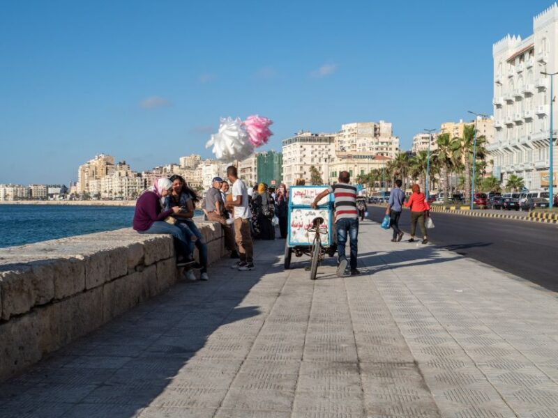 From Alexandria:- Alexandria Top Highlights Half-Day Tour - Inclusions and Pickup Details