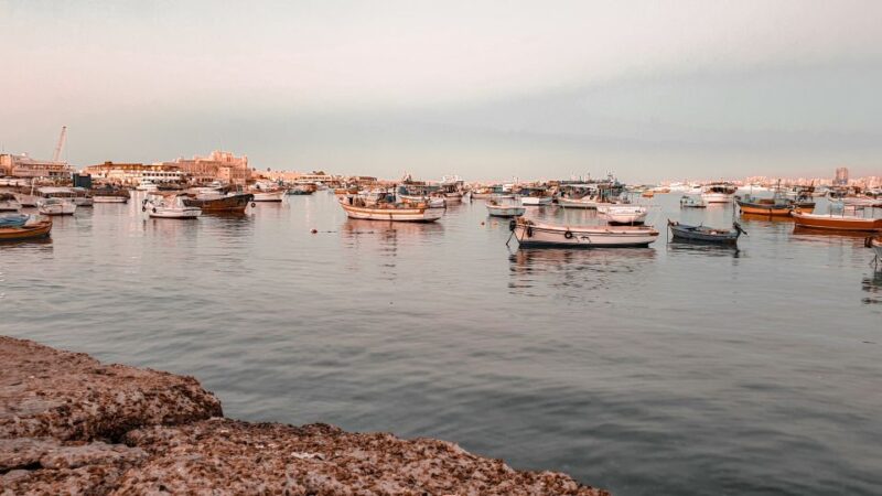 From Alexandria: Highlights of Alexandria Full City Tour - Itinerary Highlights