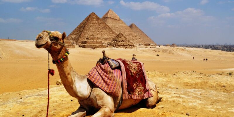 From Alexandria: Overnight Tour to Cairo & Pyramids of Giza - Itinerary Highlights