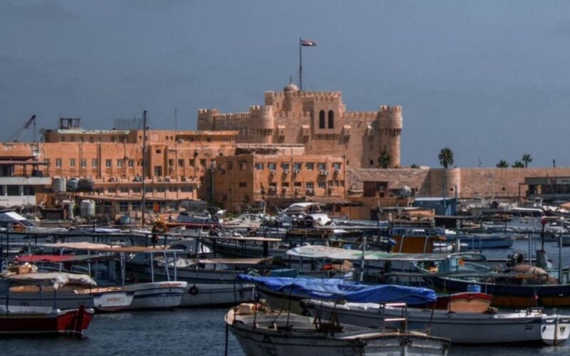 From Alexandria Port : Day Tour in Alexandria - Itinerary Highlights