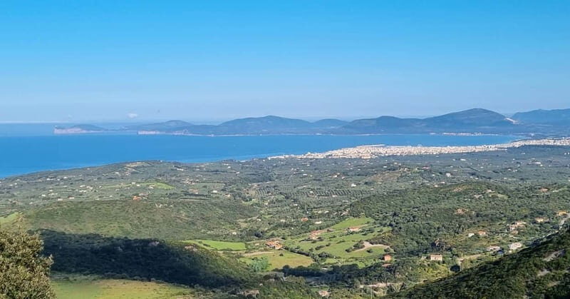From Alghero: Farm to Table cooking experience in Montresta - The Value of This Experience