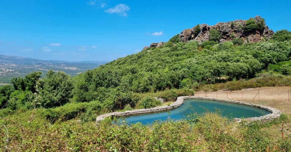 From Alghero: Farm to Table Cooking Experience in Montresta - Inclusions