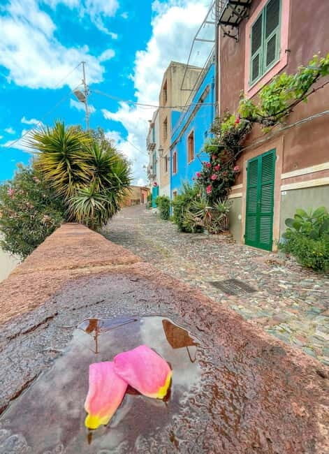 From Alghero: Market day in Bosa - Who Will Enjoy This Tour?