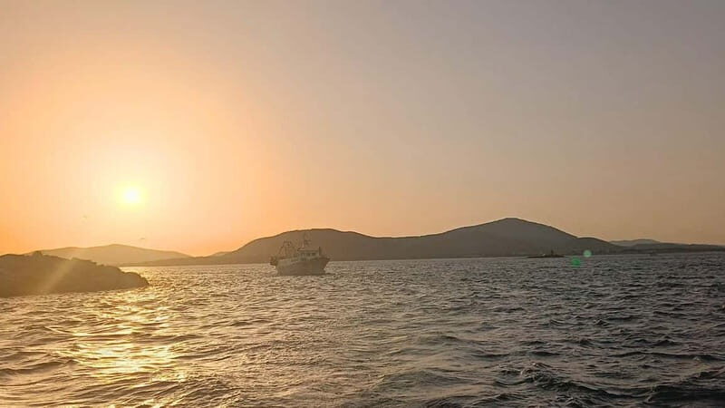 From Alghero: sunset sailing tour - Key Points