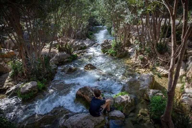 From Alicante: Algar Waterfalls Tour with transfer - Why Choose the Algar Waterfalls Tour?