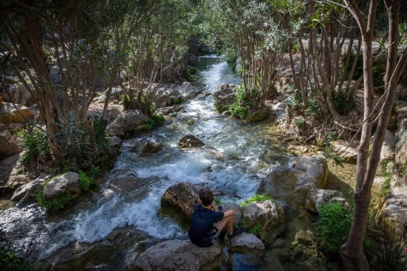 From Alicante and Benidorm: Famous Algar Fountain Tour. Private Transportation - Attractions