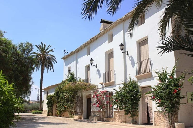 From Alicante and Elche: Guided tour for vineyard and winery with tasting - FAQ