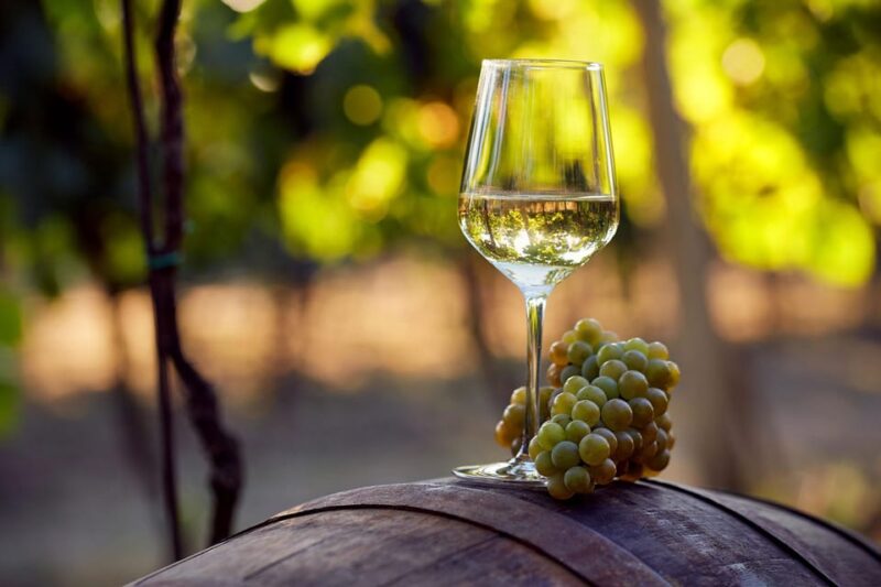 From Alicante and Elche: Guided Tour to Vineyard and Winery With Tasting. - Winery and Vineyard Experience