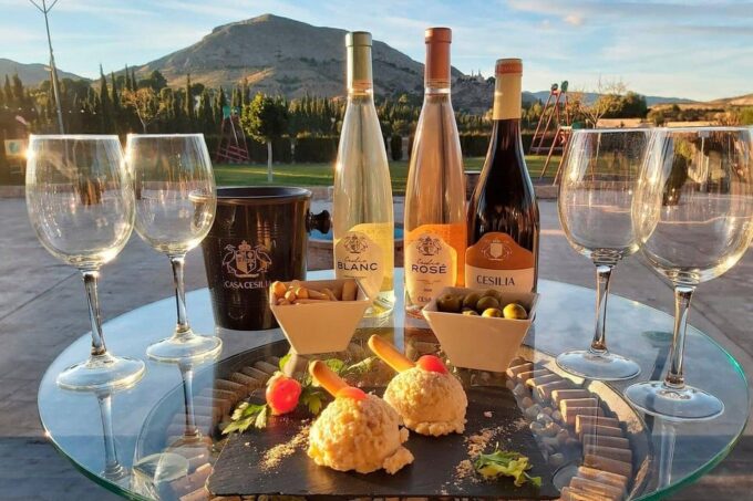 From Alicante and Elche: Guided Tour to Vineyard and Winery With Tasting. - Customer Feedback and Ratings