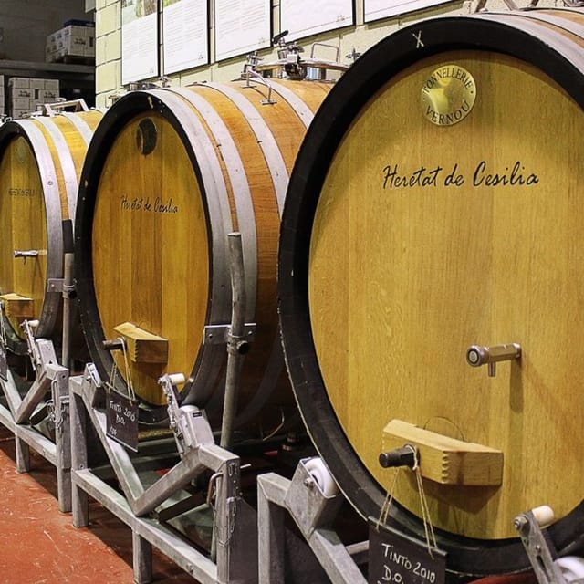 From Alicante and Elche: Guided Tour to Vineyard and Winery With Tasting. - Frequently Asked Questions
