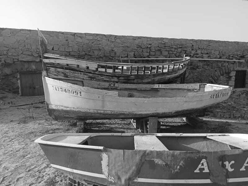 From Alicante and Torrevieja: Excursion to Tabarca, Santa Pola and Laguna Rosa - Transportation and Practicalities