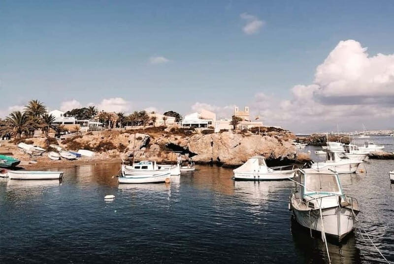 From Alicante and Torrevieja: Excursion to Tabarca, Santa Pola and Laguna Rosa - Who Should Consider This Tour