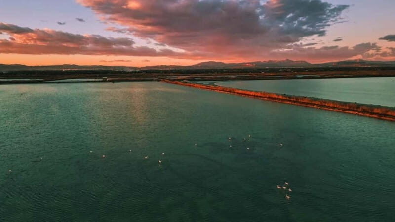 From Alicante/Benidorm: Tabarca Island & Santa Pola Salinas - Analyzing the Experience: What You Can Expect