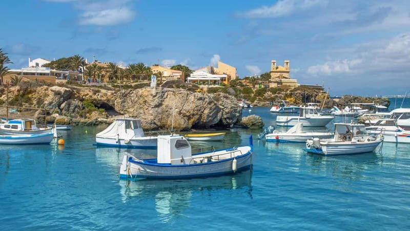 From Alicante/Benidorm: Tabarca Island & Santa Pola Salinas - Pricing and Value
