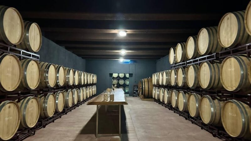 From Alicante ,Benidorm: Winery Tour and Wine Tasting - Key Points