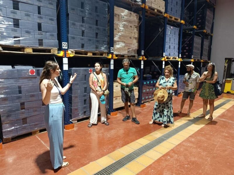 From Alicante ,Benidorm: Winery Tour and Wine Tasting - Booking Information