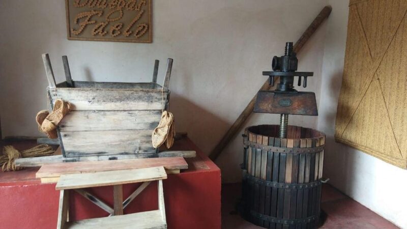 From Alicante: Best Winery Tour and Wine Tasting - Tour Highlights