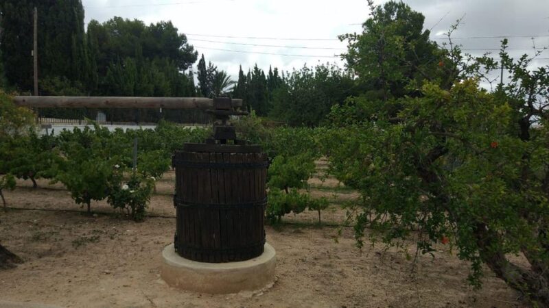 From Alicante: Best Winery Tour and Wine Tasting - Frequently Asked Questions