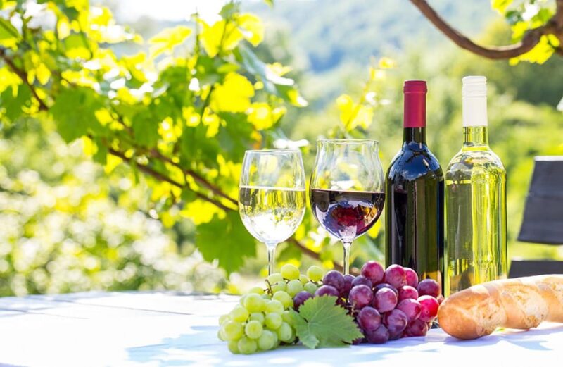 From Alicante & Elche: Family Owned Rural Winery (Tasting) - Booking Information