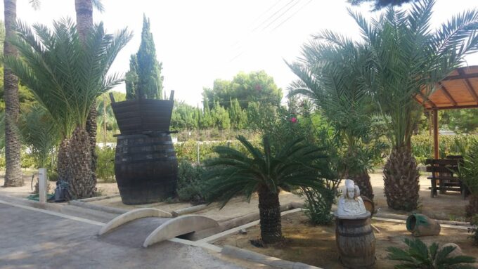 From Alicante & Elche: Family Owned Rural Winery (Tasting) - Customer Reviews