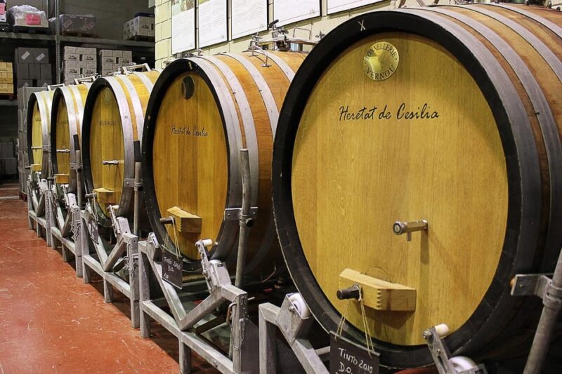 From Alicante: Premium Visit to the Winery. the Best of Our Wines. - Winery Tour