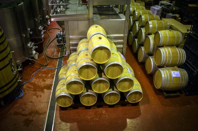 From Alicante: Premium Visit to the Winery. the Best of Our Wines. - Winemaking Process
