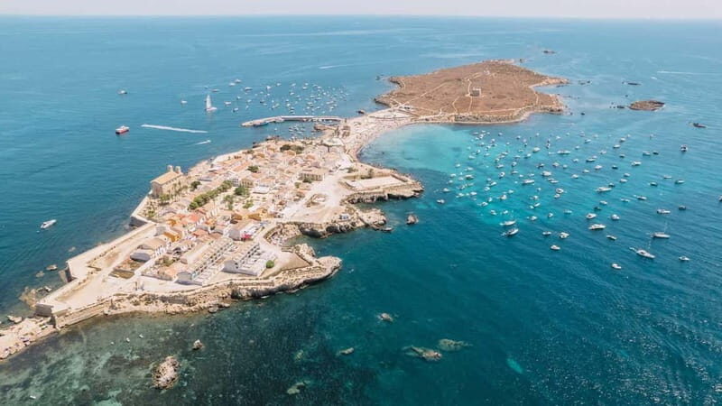 FROM ALICANTE: SPEEDBOAT EXCURSION TO TABARCA ISLAND, WITH SNORKELING - Key Points