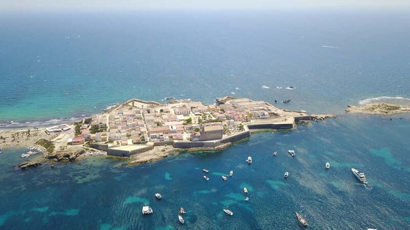 From Alicante: Speedboat tour to Tabarca Island with snorkeling - Who Would Love This Experience?