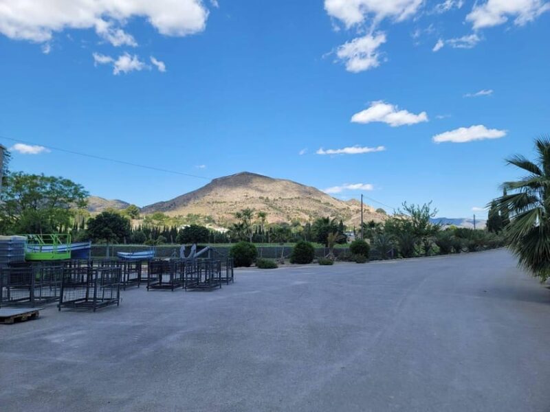 From Alicante: Winery Tour and Wine Tasting With Tapas - Customer Reviews