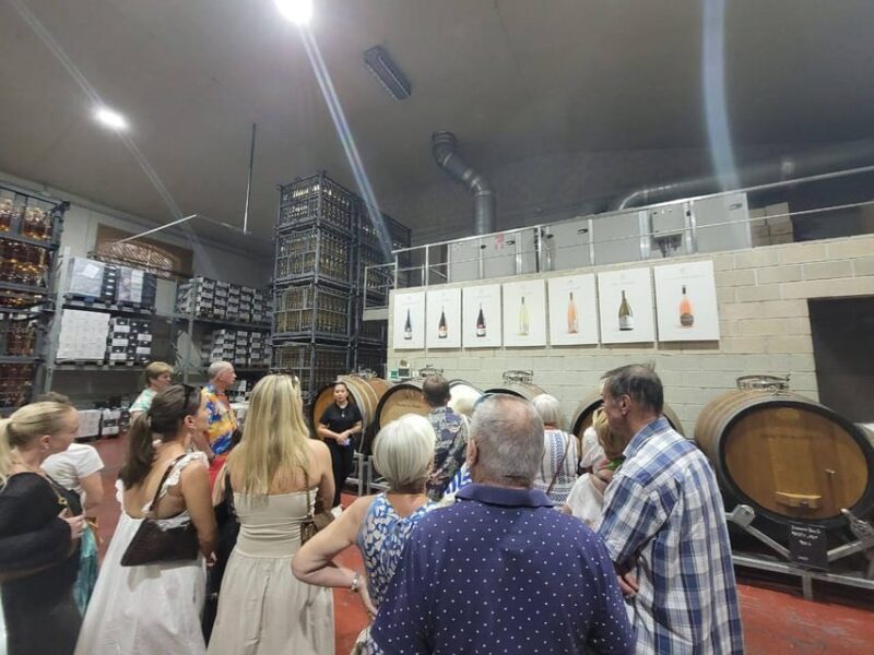 From Alicante: Winery Tour and Wine Tasting With Tapas - Winemaking Process