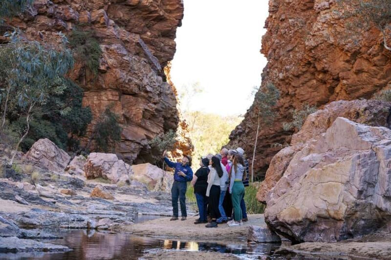 From Alice Springs: Half Day West MacDonnell Ranges Tour - A detailed look at the tour experience