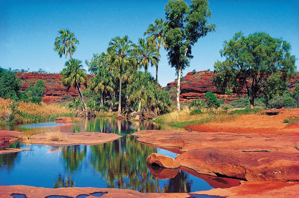 From Alice Springs: Palm Valley 4WD Outback Safari + Picnic - Key Points