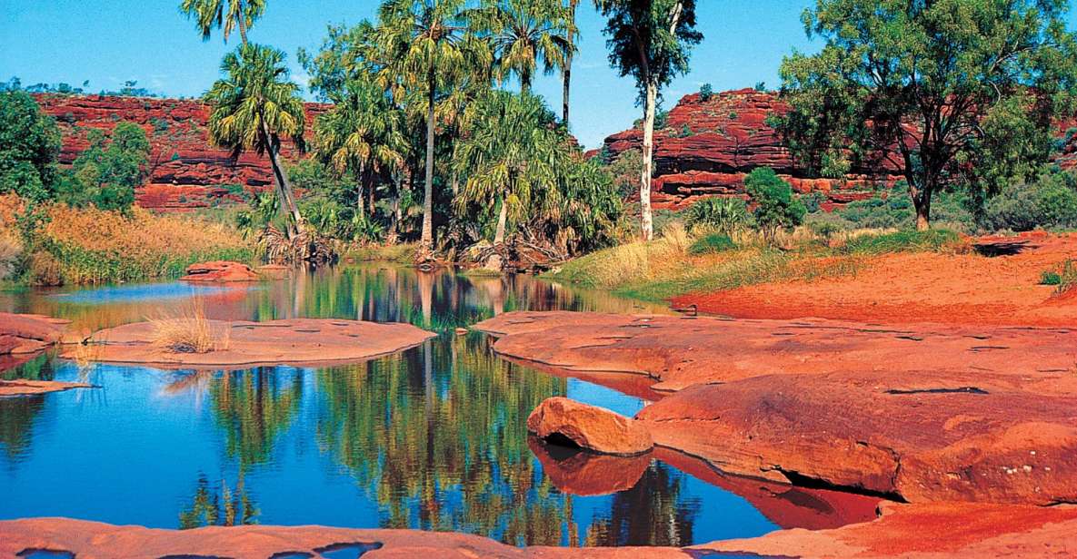 From Alice Springs: Palm Valley 4WD Outback Safari + Picnic - Important Information